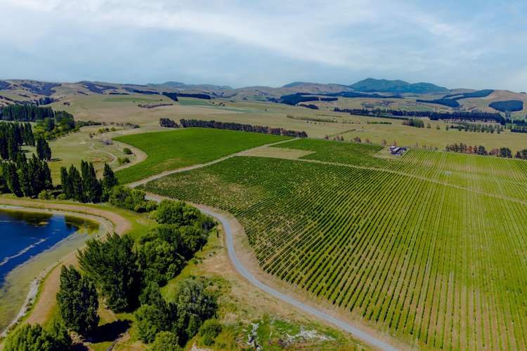 Lot 3 Willow Lane Martinborough_5