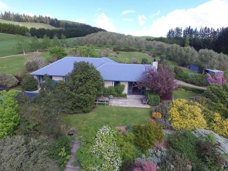 31 Kellaway Terrace Waikari_20