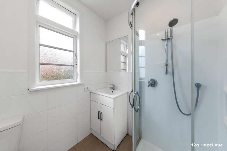 12a Hazel Avenue Mount Roskill_10