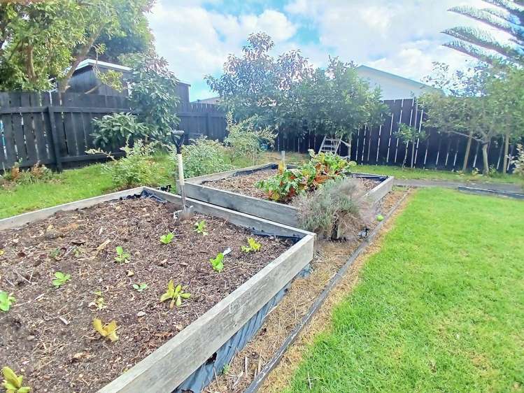 49 Solar Road Glen Eden_10