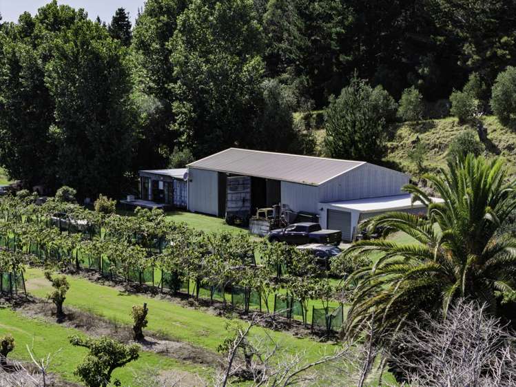101 Turk Valley Road Waiharara_6