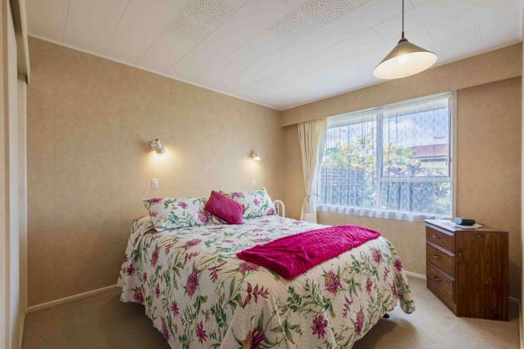 509 Tomoana Road Saint Leonards_10