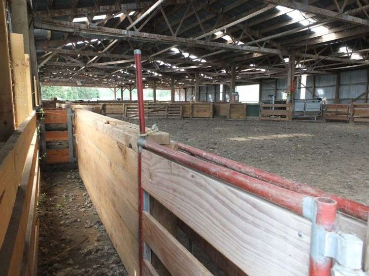 685 Benmore Otapiri Road Winton Surrounds_16