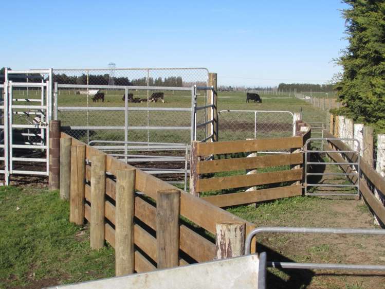 362 Ashburton Staveley Road Greenstreet_6