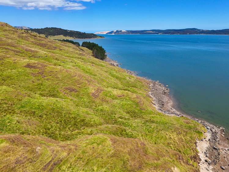 Brindle Road Opononi_18