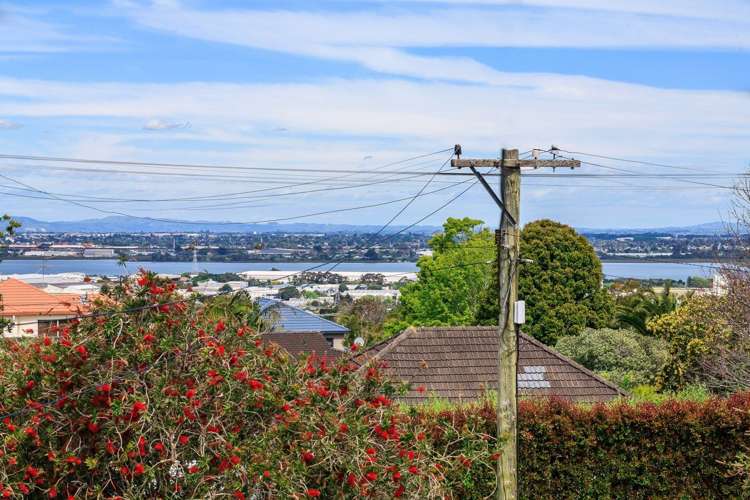 46 Tawa Road One Tree Hill_4