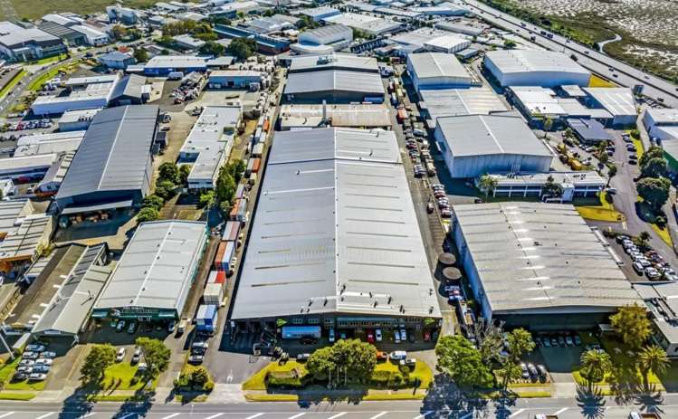 670 Rosebank Road Avondale_2