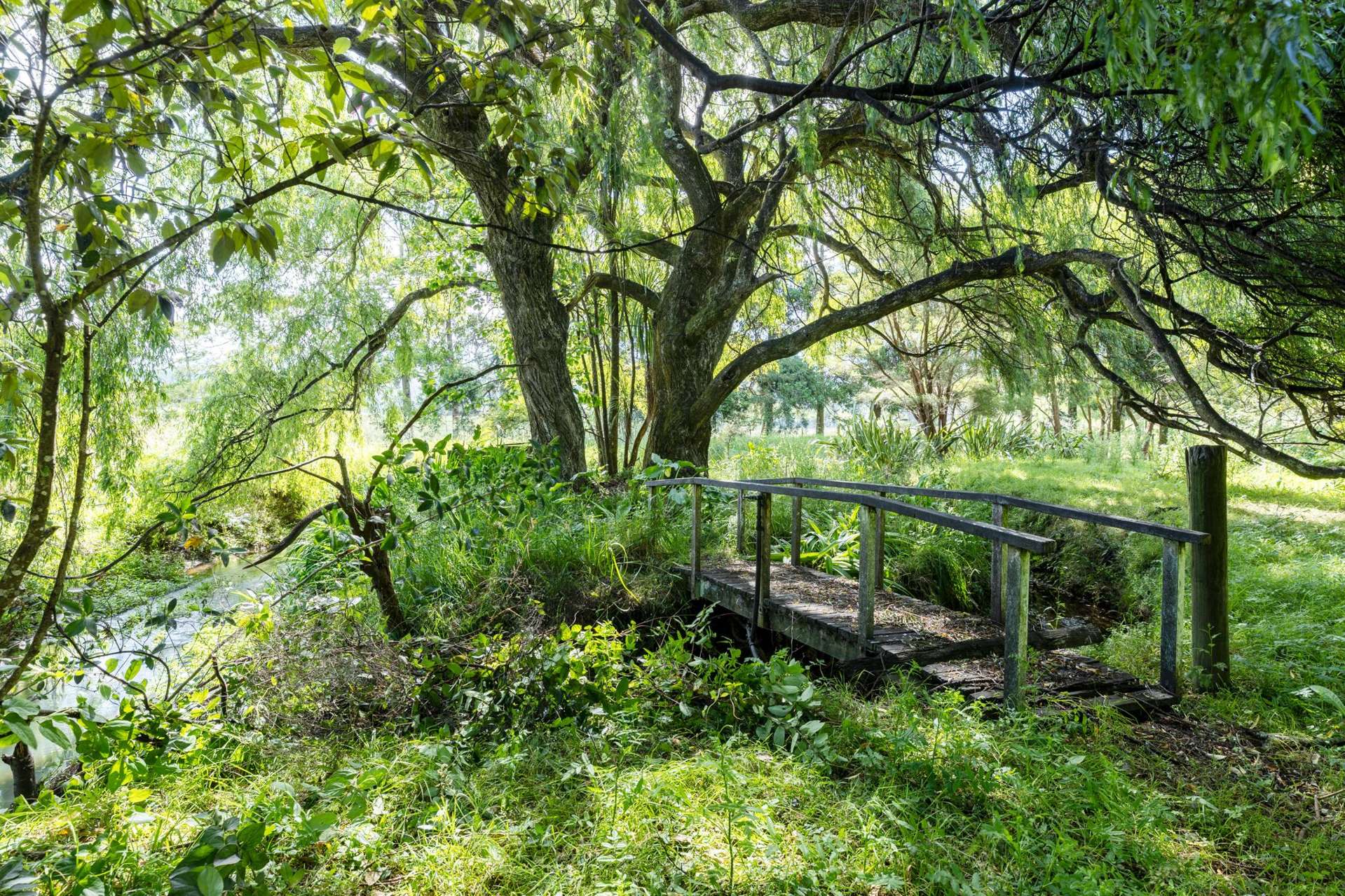 530 Old Woodcocks Road Kaipara Flats_0