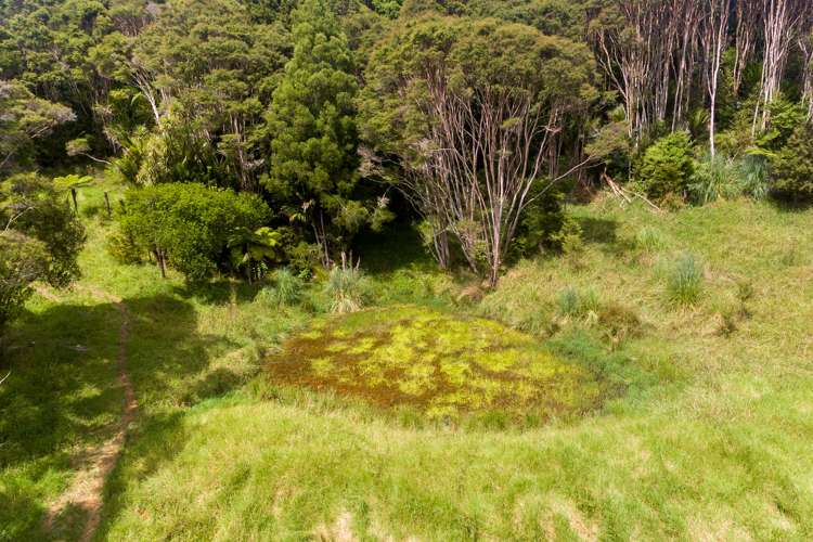 542 Duddy Road Hokianga_16