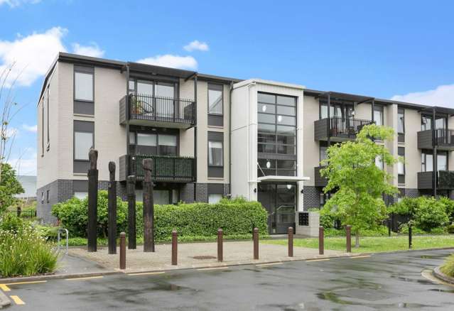 Ground floor modern apartment