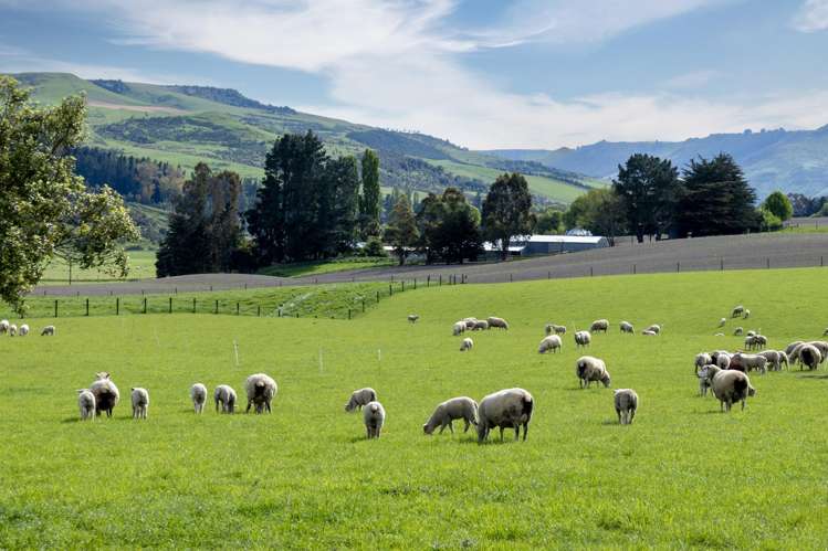 665 Craigmore Valley Road Maungati_22