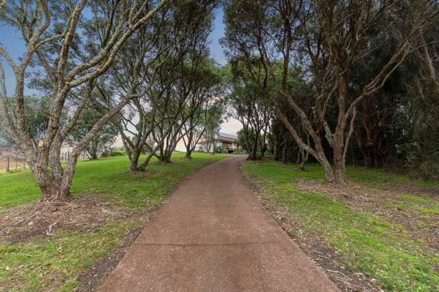 96 Vaughans Road Long Bay_4