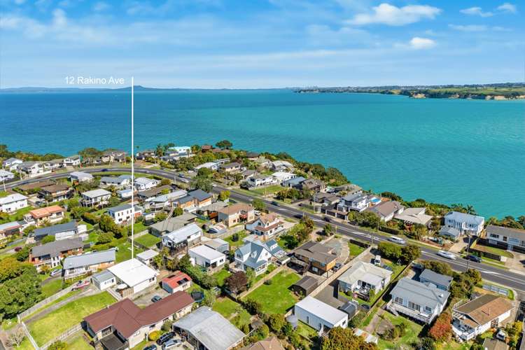 12 Rakino Avenue Manly_34