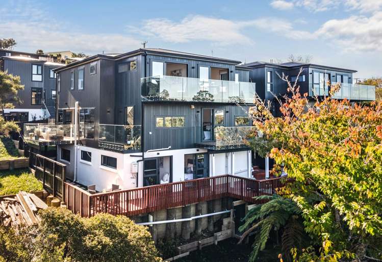 46b Peter Terrace Castor Bay_19