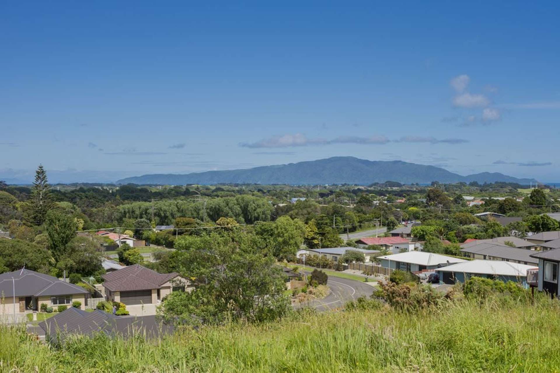 Kakariki Grove Waikanae_0