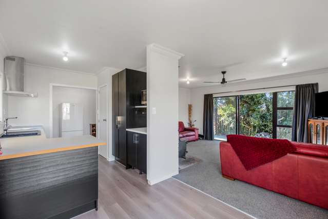 19 Hall Road Paengaroa_4