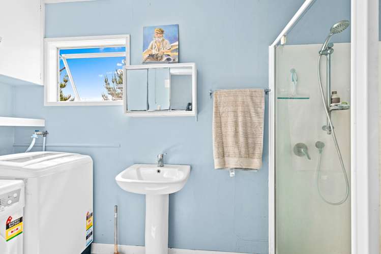 221 Schollum Road Big Omaha_10