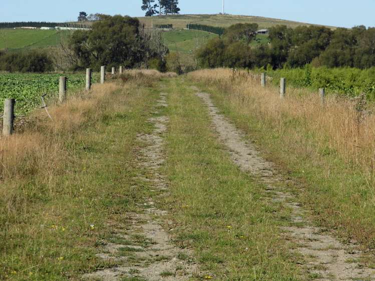 Clarks Field, Alma-Maheno Road Reidston_10