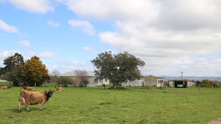 98 Mccracken Road Edgecumbe_13