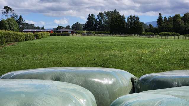 71 Lepper Road Inglewood_2