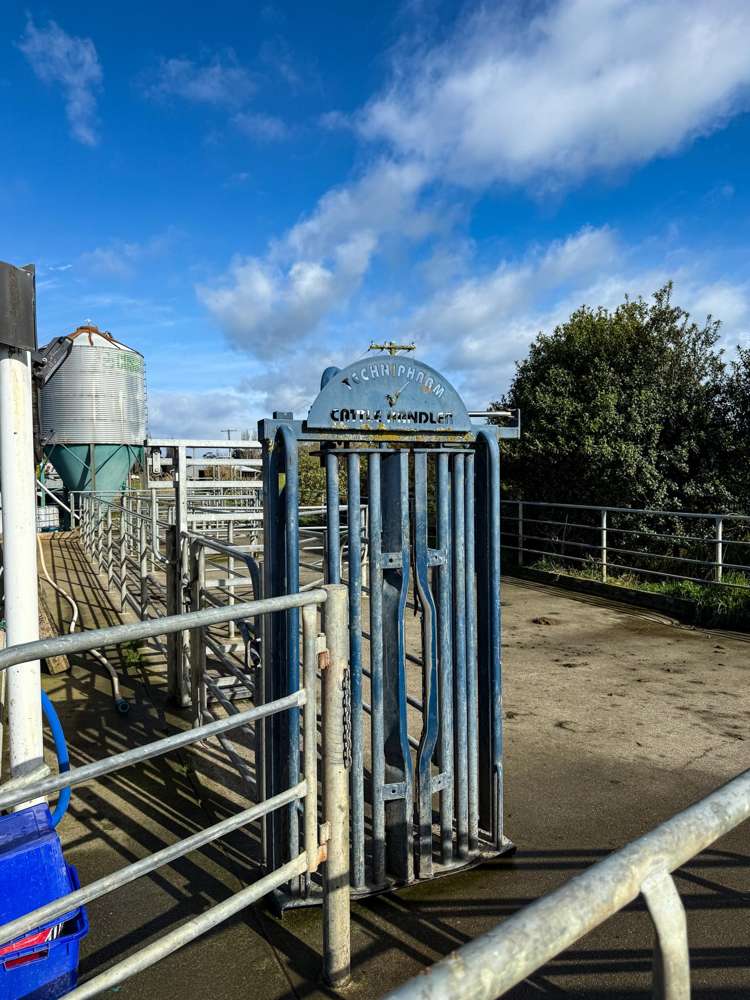 473 Clifden Gorge Road Eastern Bush_26