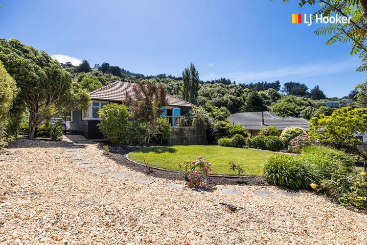 22 Takahe Terrace Saint Leonards_15