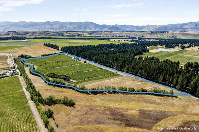 Wines, Vines and Lifestyle