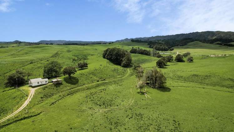 2051 Paparoa-Oakleigh Road Taipuha_23