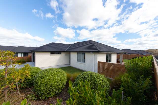 29 Macdonald Heights Feilding_3