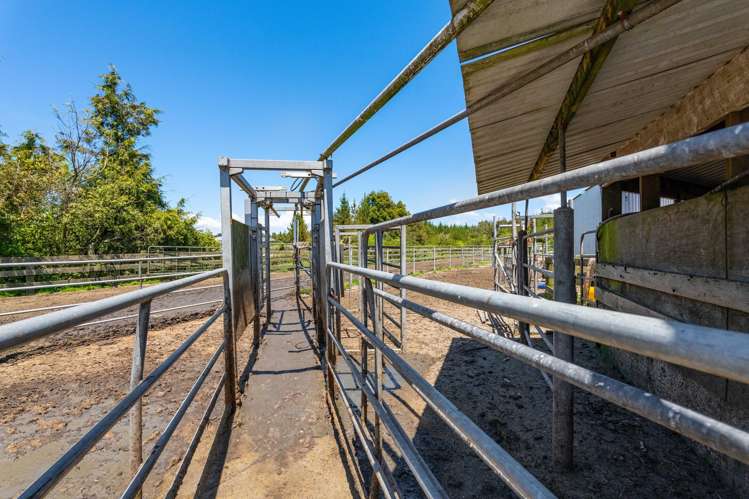 869 Dudley Road Upper Kaimiro_14