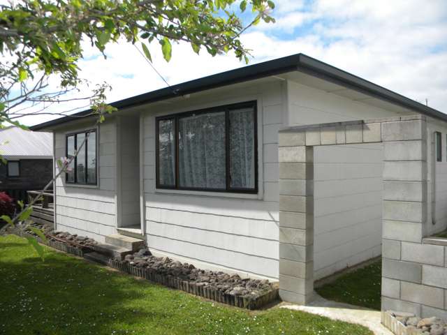 1781 Rewi Street Te Awamutu_1