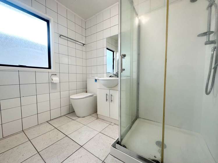 9A Halleys Place Mt Roskill_10