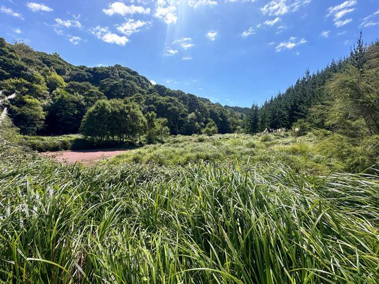 Matokitoki Valley Road Matokitoki_10