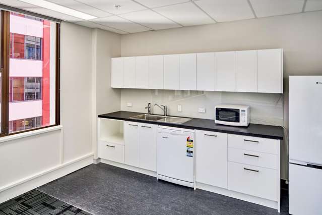 11 Aurora Terrace Wellington Central_2