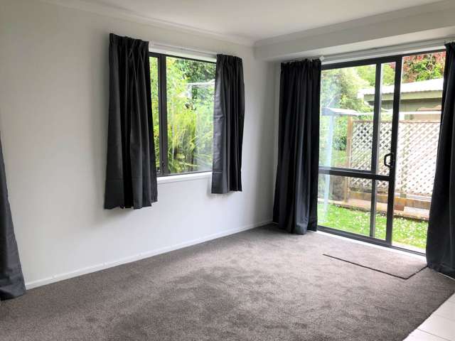 293C Hillsborough Road Mt Roskill_4