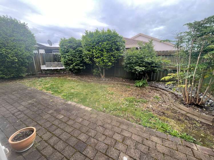 36b Victor Street Avondale_6