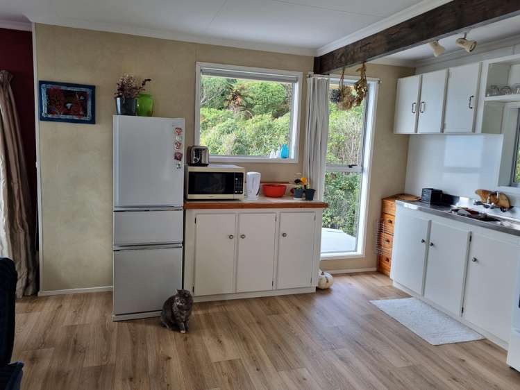 280 Nikau Road Hector_13