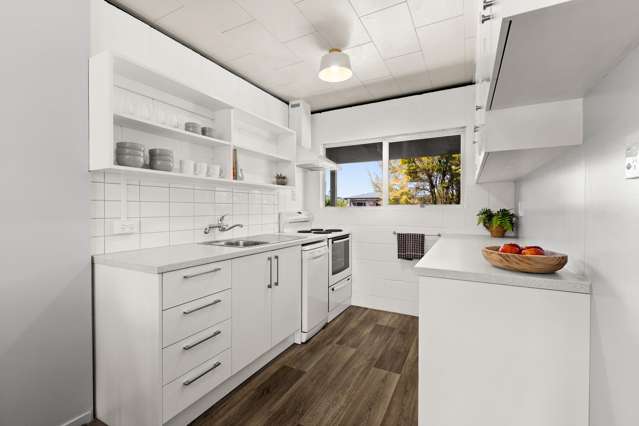 163A Guppy Road Taradale_3