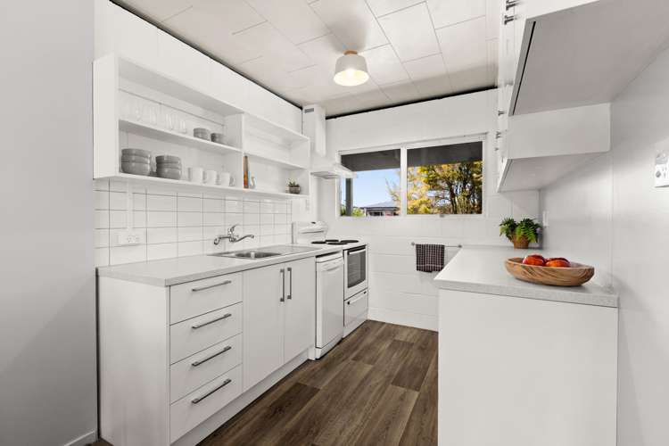 163A Guppy Road Taradale_3