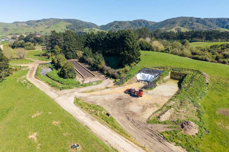 100 Inglis Road Pahiatua_3