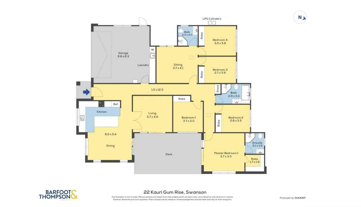22 Kauri Gum Rise_5