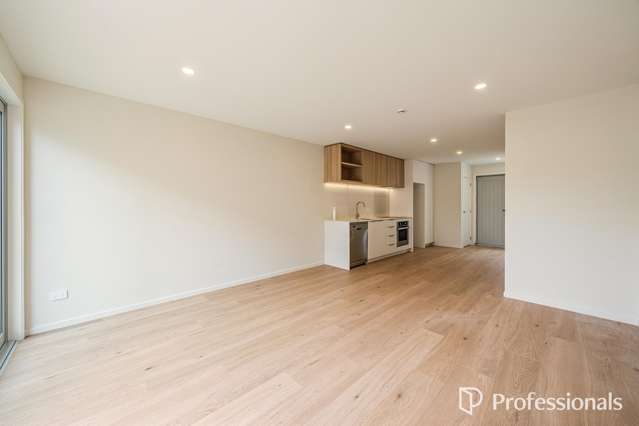 75 Pretoria Street Lower Hutt Central_4