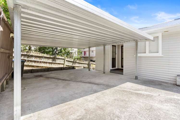 19 Layard Street Avondale_9