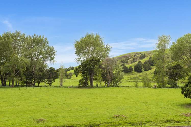 1371 Waihue Road Dargaville Surrounds_25