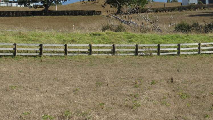 Duck Road Rotokauri_8