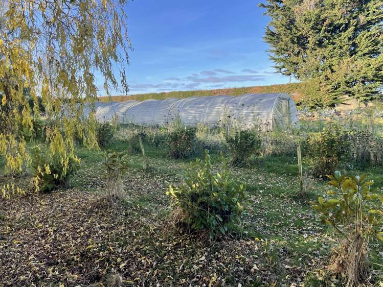 224 Agnew Road Otaio_15