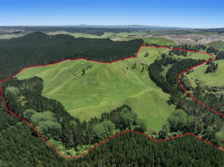 26 Settlement Road Pikowai_23