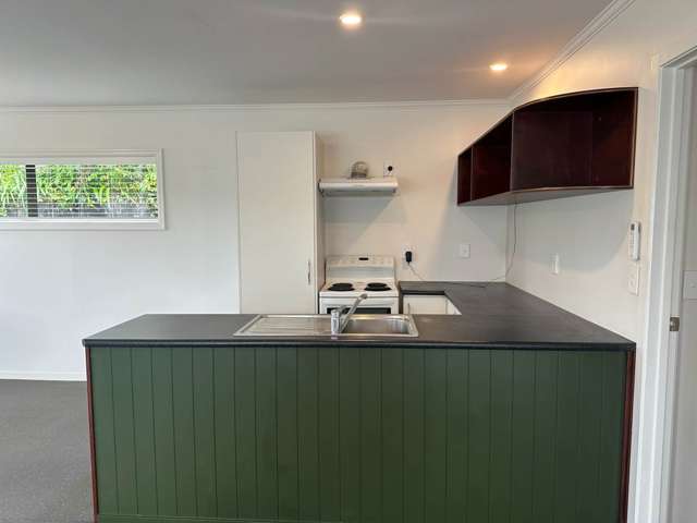 9A Pine Avenue Henderson_4