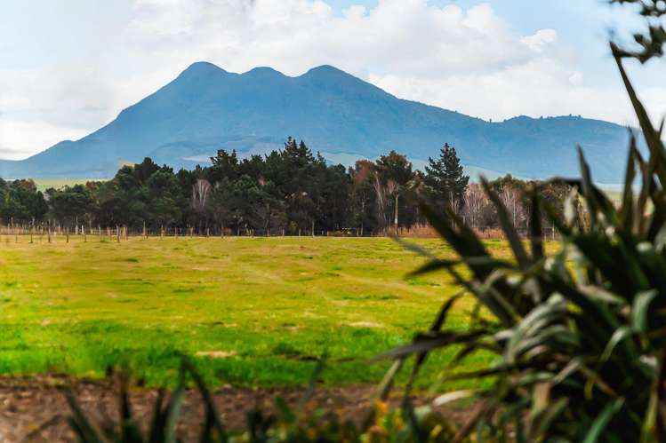 1777 Broadlands Road Broadlands Forest_11