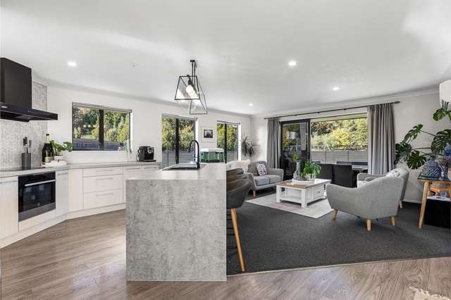 167 Taylor Pass Road Witherlea_1